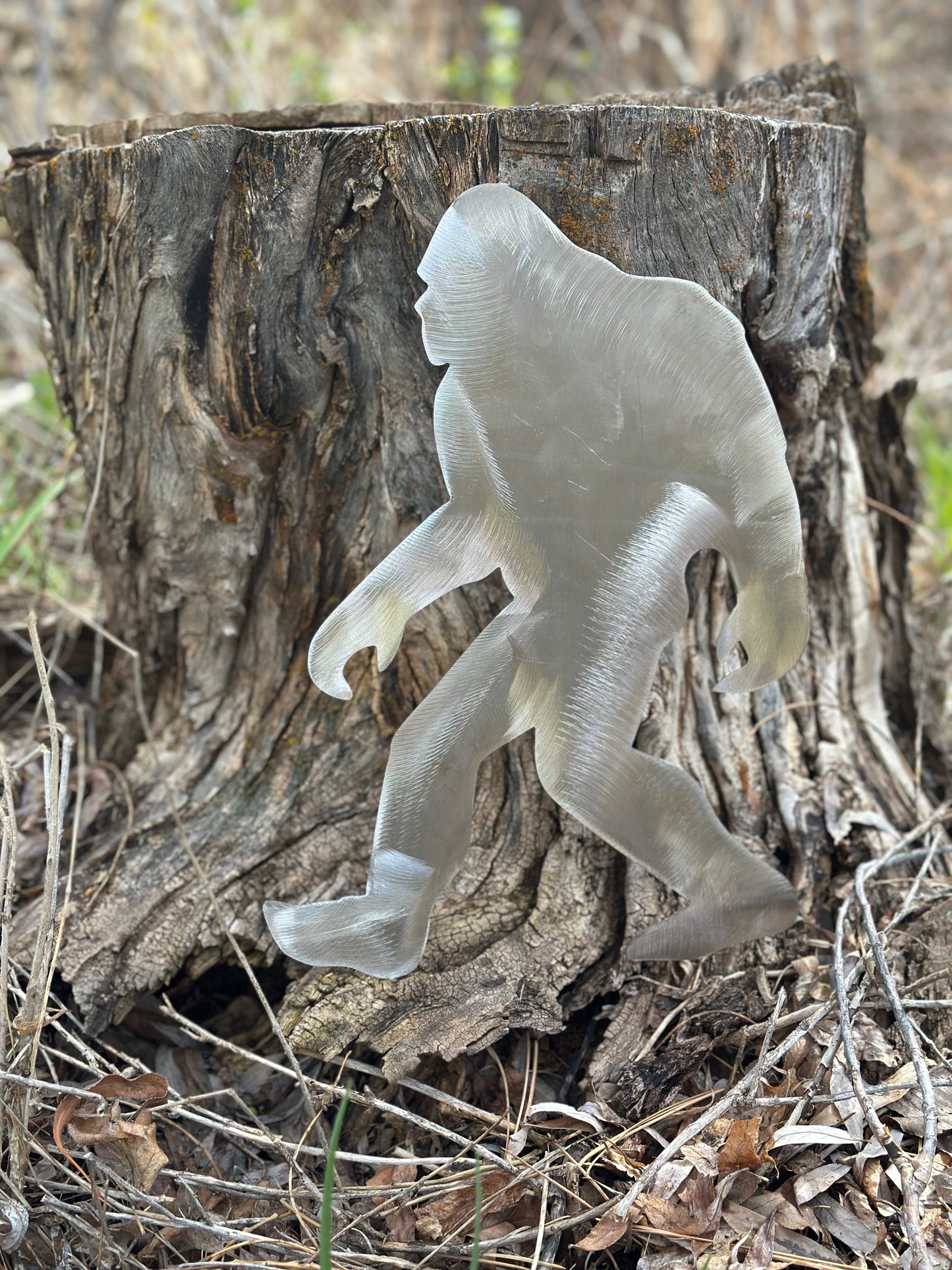 Solo Sasquatch