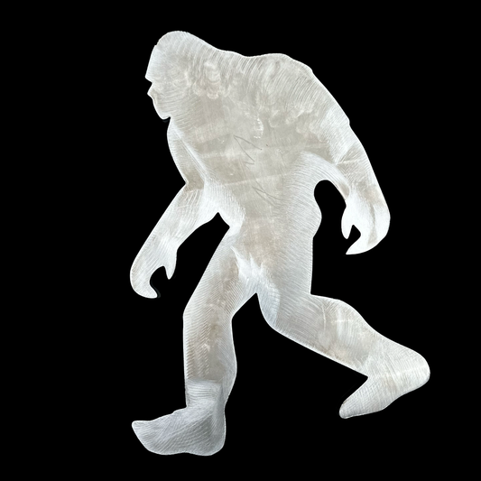 Solo Sasquatch